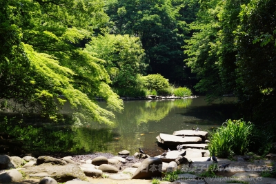 東京大學
