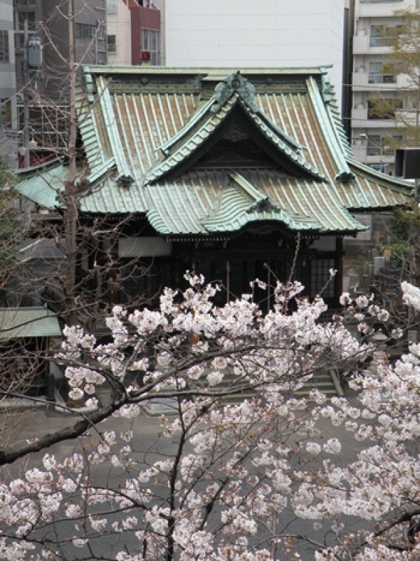 日本賞櫻何處去？最浪漫的東京都內名所 ＋ 私房景點大公開！