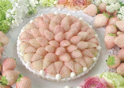 Qu'il fait bon Grande Maison銀座店 - 白色草莓初戀芬芳水果塔