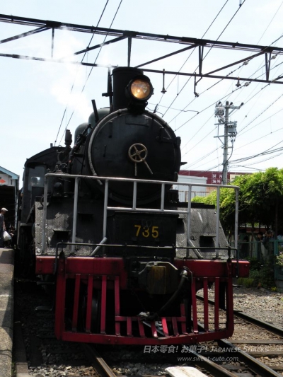 大井川鐵道 - SL蒸汽機關火車