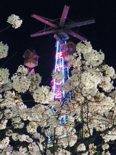 淺草花屋敷 - Bee Tower蜜蜂高塔觀覽車