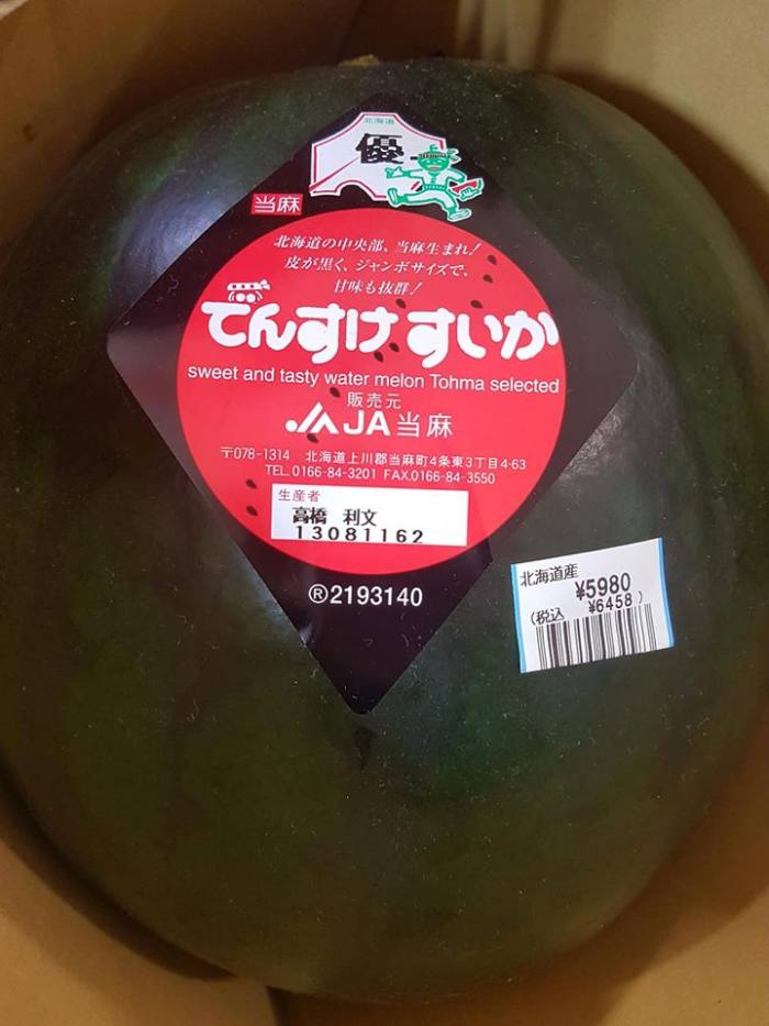 日本水果 - 北海道當麻田之介西瓜