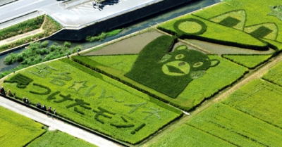 熊本縣玉名市的熊本熊酷MA萌