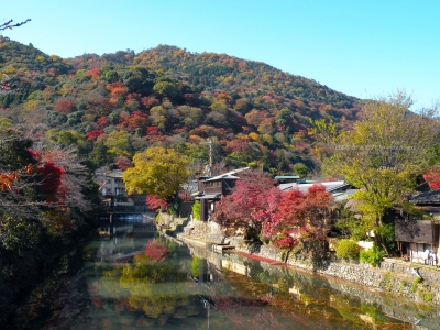 京都嵐山的紅葉