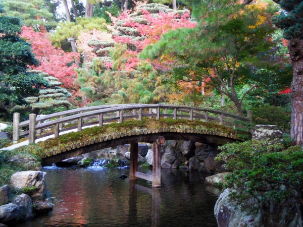 京都御所的庭院