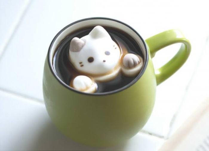 Yawahada - CafeCat貓咪咖啡