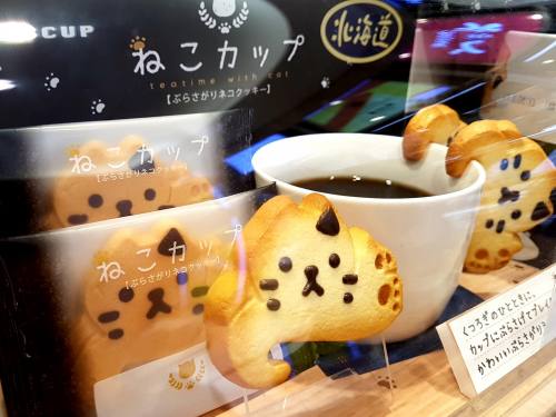 北海道貓貓杯