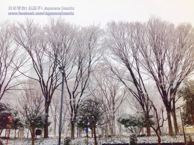 西新宿的雪景