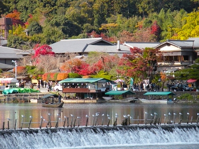 京都嵐山的美麗紅葉