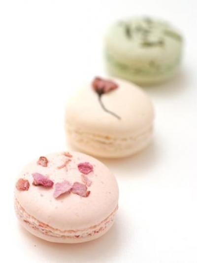 Beige Alain Ducasse Tokyo - 馬卡龍禮盒