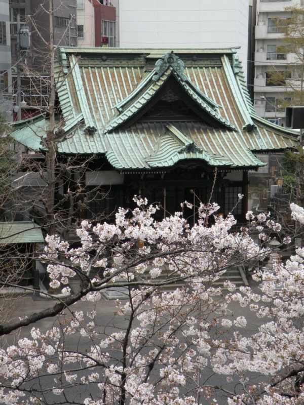 內藤新宿太宗寺