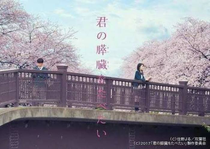 電影 - 我想吃掉你的胰臟