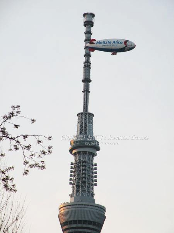 TOKYO SKYTREE東京晴空塔 + SNOOPY史努比J號