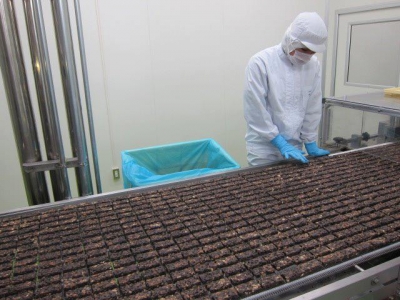 有樂製菓 - 黑雷神巧克力可可餅乾夾心