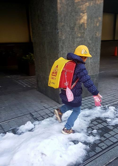 日本 - 2018東京暴風雪