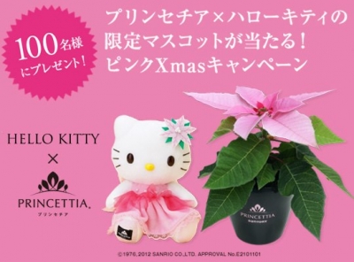 SUNTORY日本三得利花藝 - 粉紅色聖誕紅Euphorbia Princettia與Hello Kitty凱蒂貓絨毛娃娃
