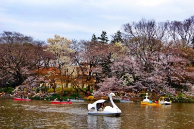 井之頭恩賜公園