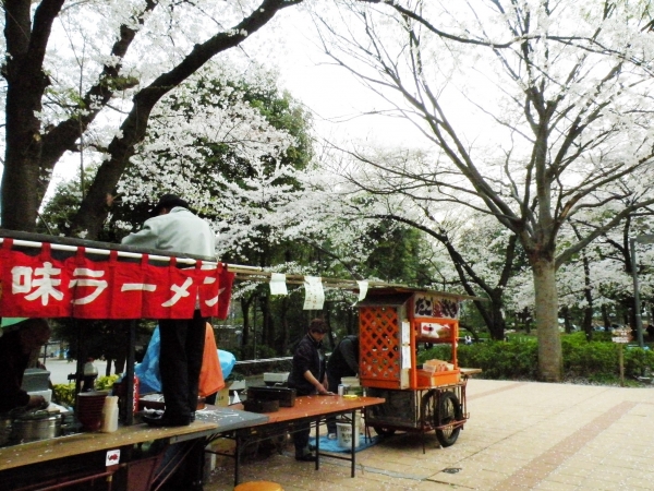 新宿中央公園櫻花樹下的拉麵攤