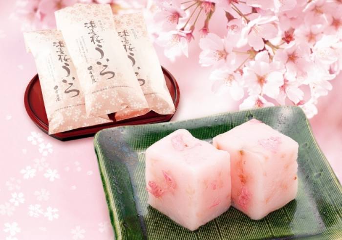 御菓子所吉野屋 - 根尾谷之淡墨櫻外郎
