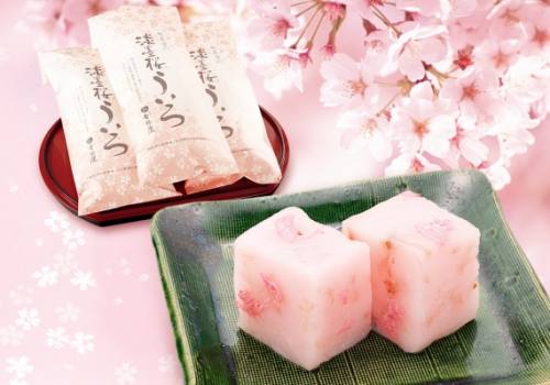 御菓子所吉野屋 - 根尾谷之淡墨櫻外郎